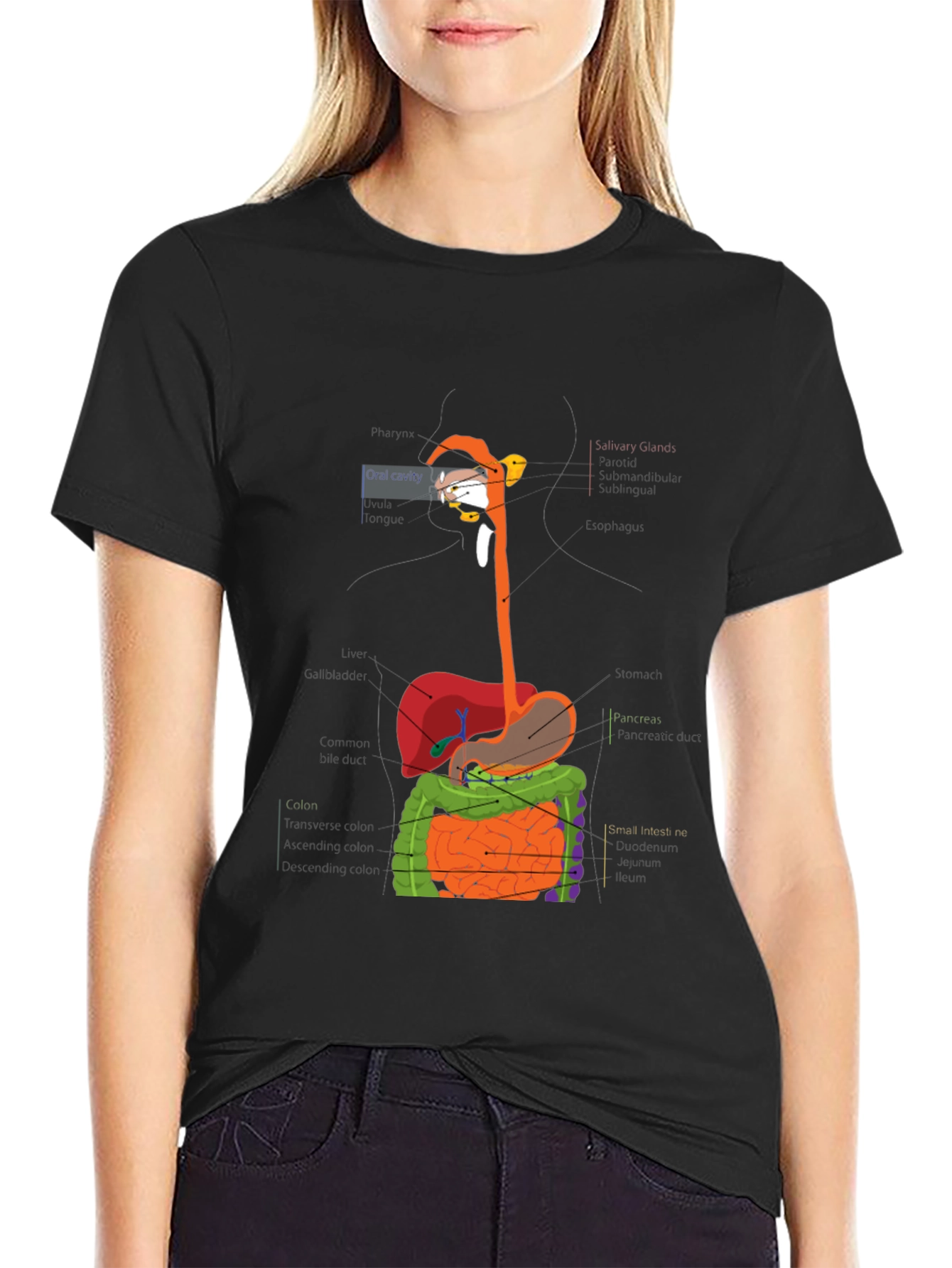 Digestive System Anatomy Graphic T-Shirt