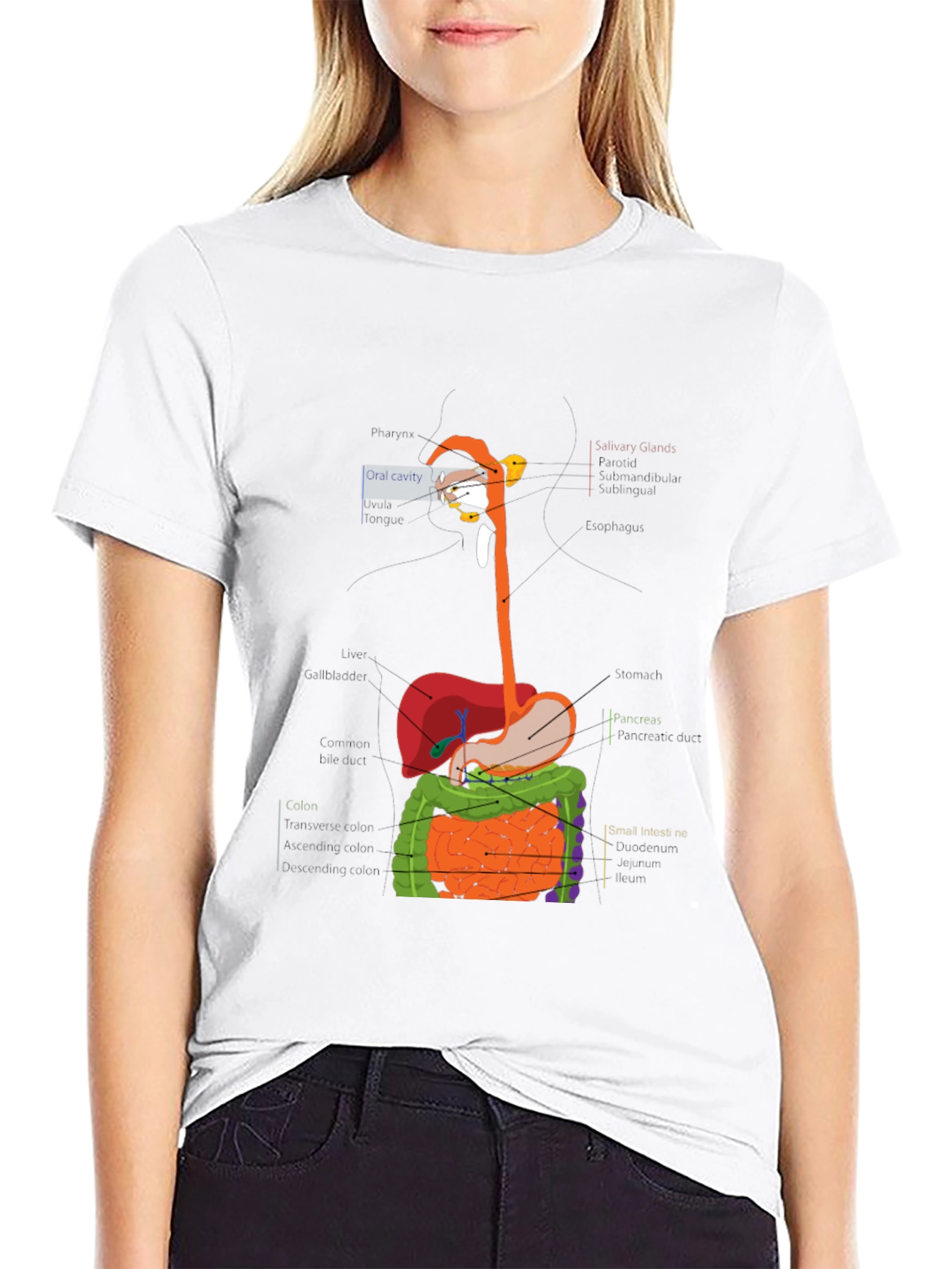 Digestive System Anatomy Graphic T-Shirt