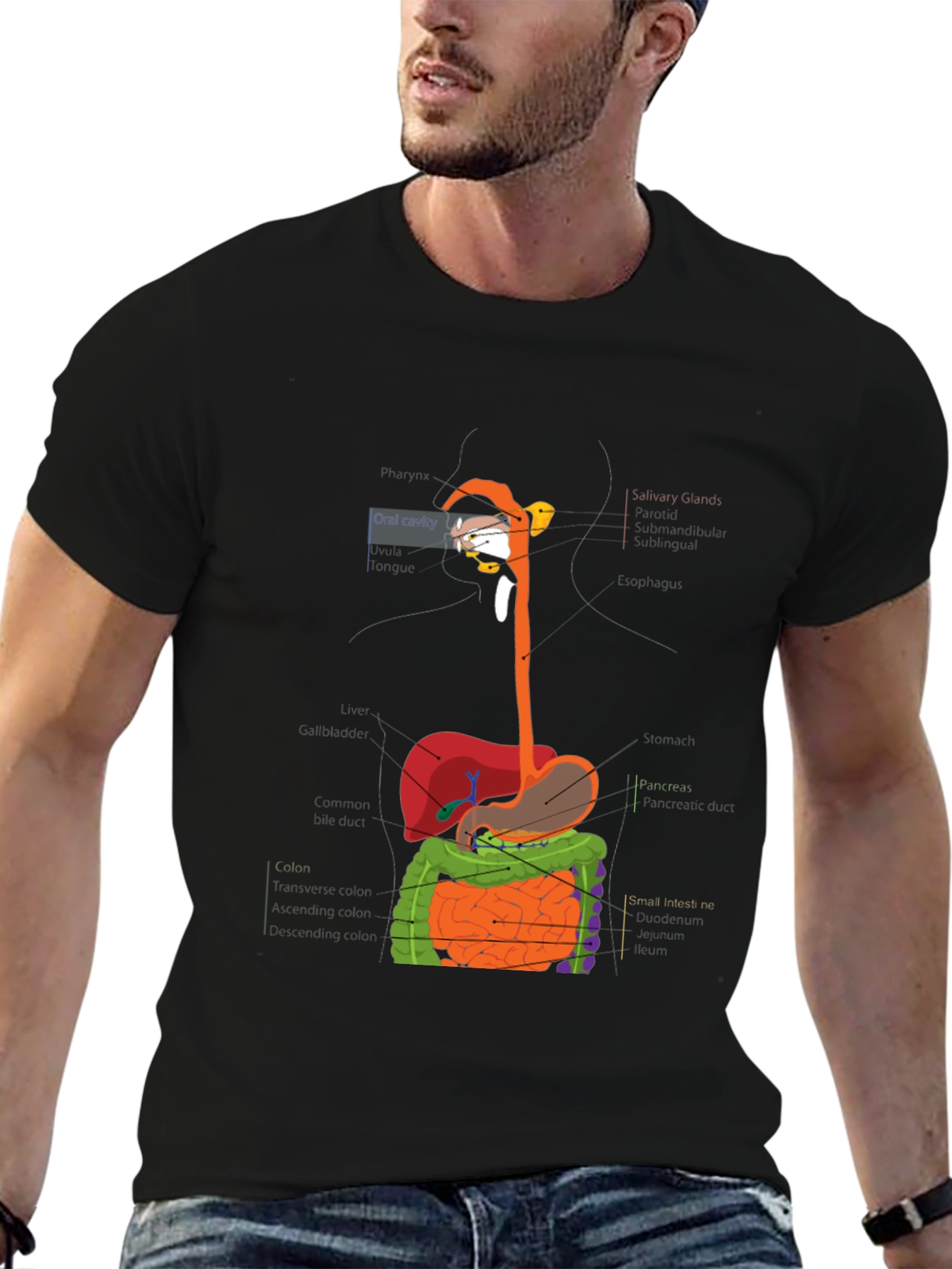 Digestive System Anatomy Graphic T-Shirt