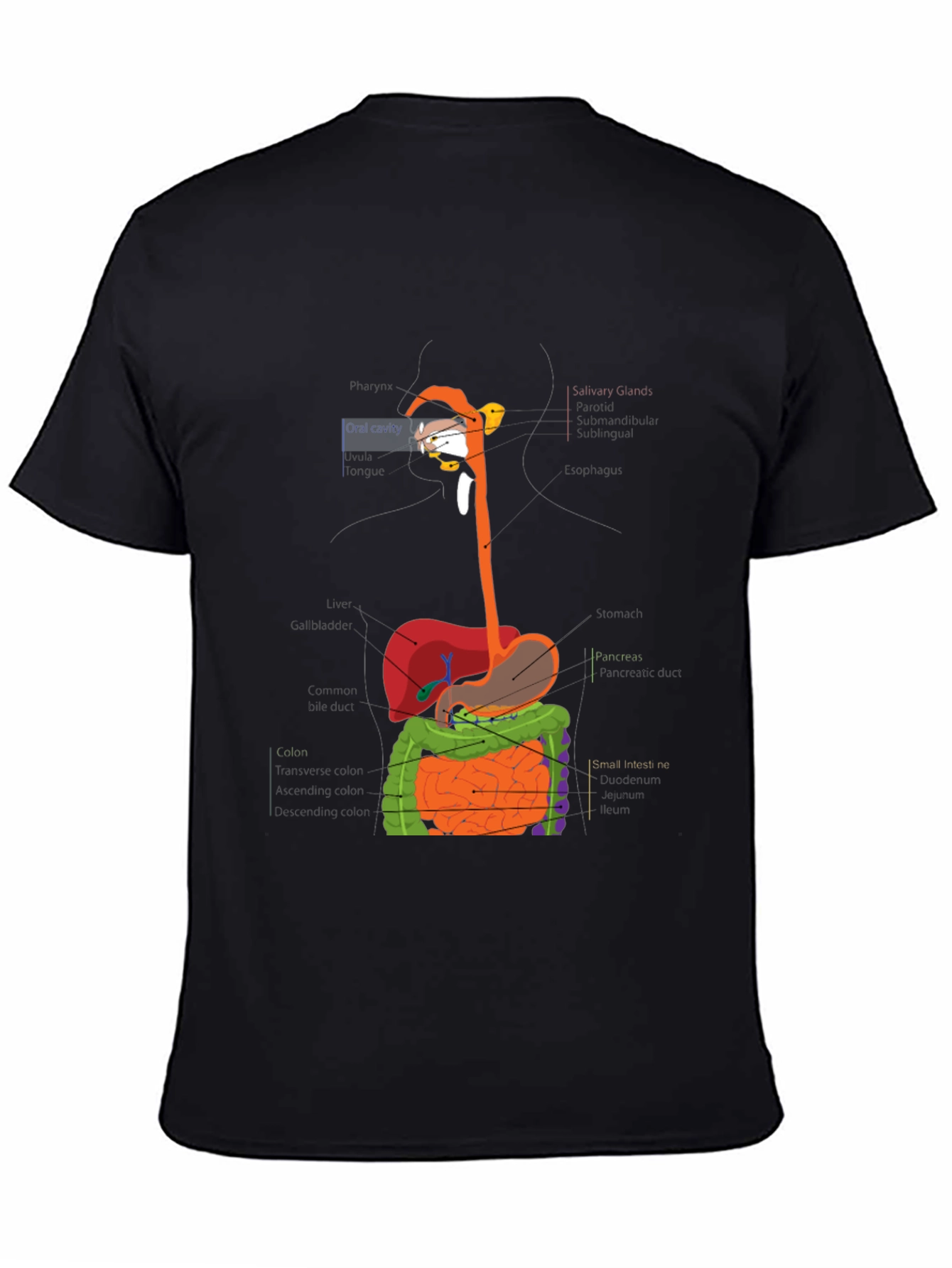 Digestive System Anatomy Graphic T-Shirt