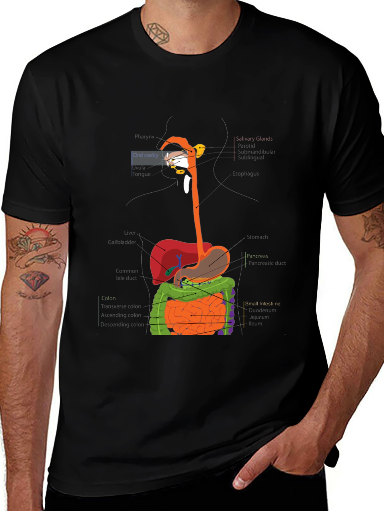 Digestive System Anatomy Graphic T-Shirt
