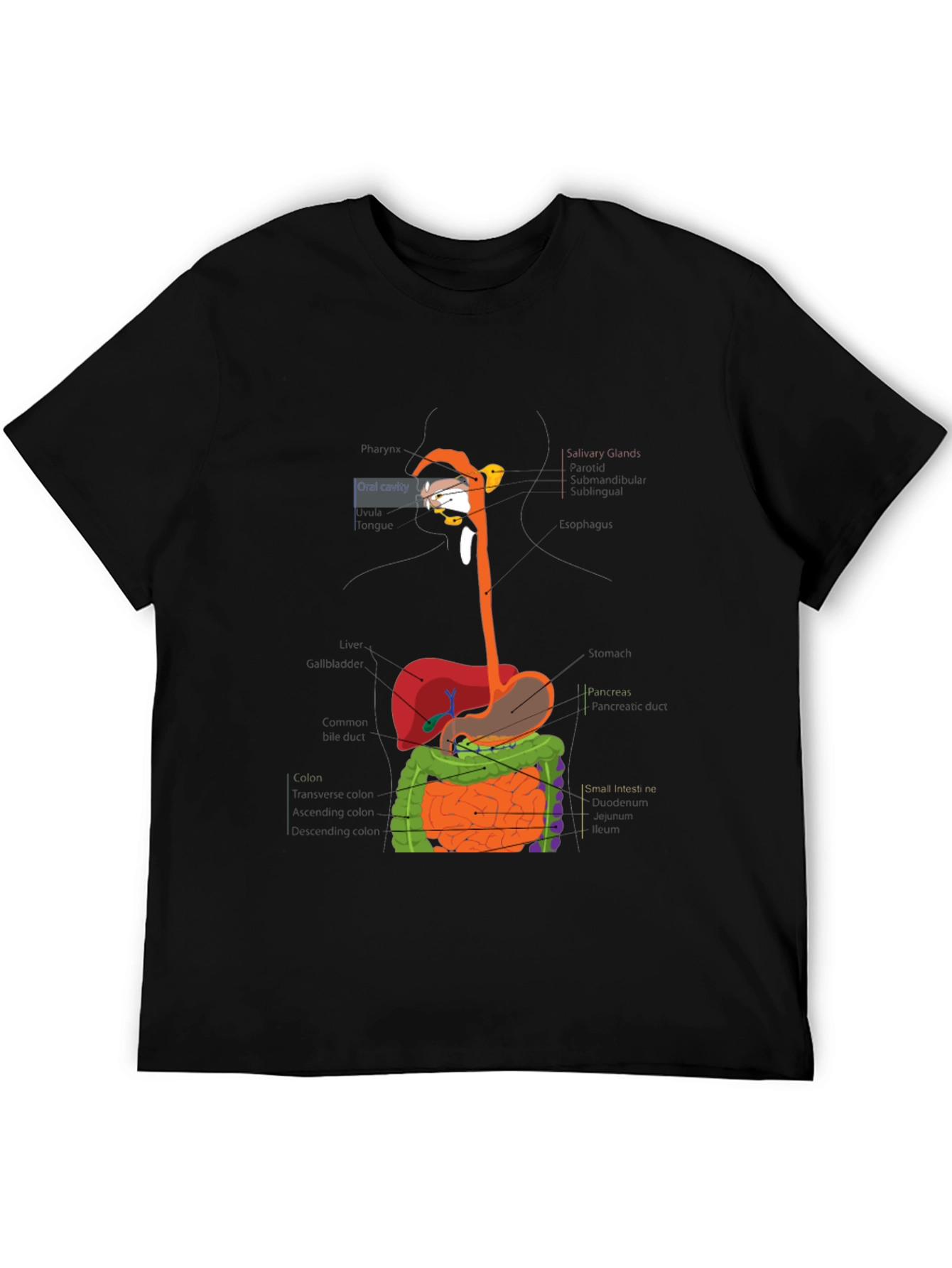 Digestive System Anatomy Graphic T-Shirt