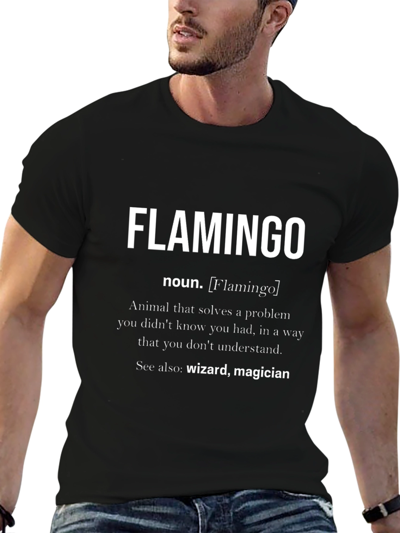 Funny Flamingo Definition Black T-Shirt