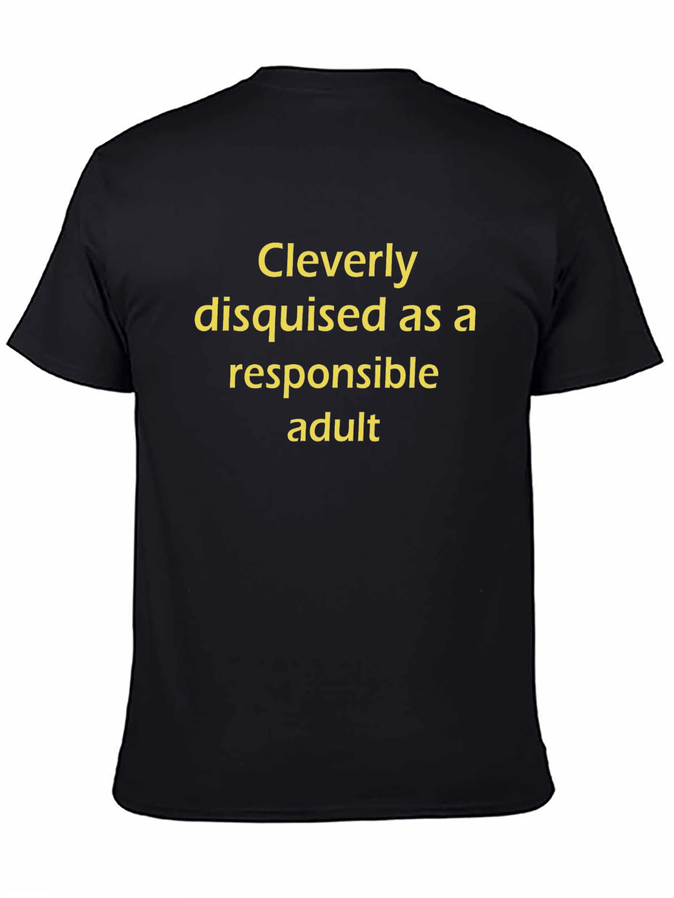 Cleverly Disguised Responsible Adult T-Shirt