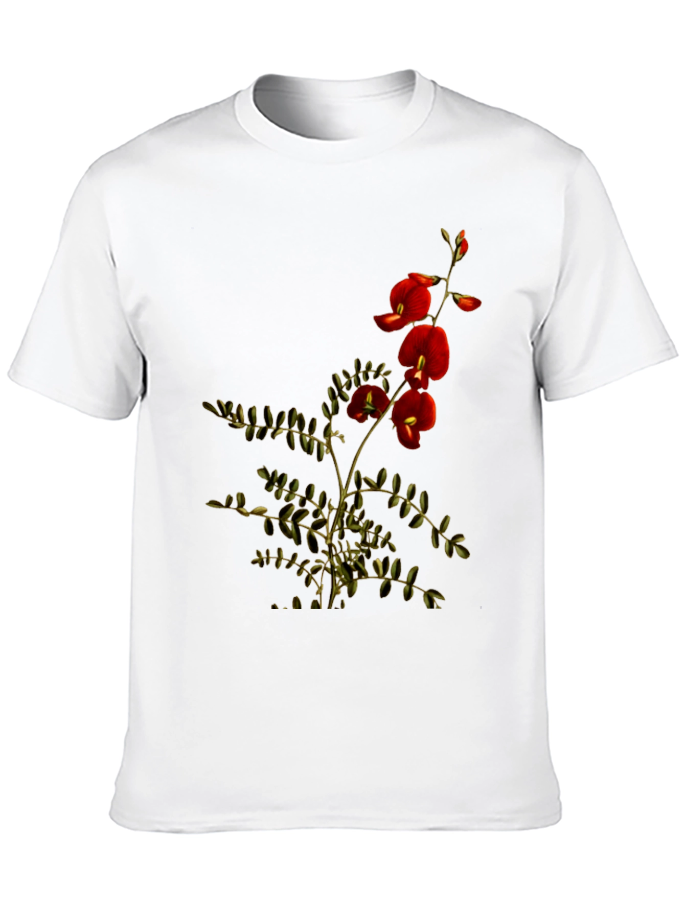 Botanical Print Black T-Shirt