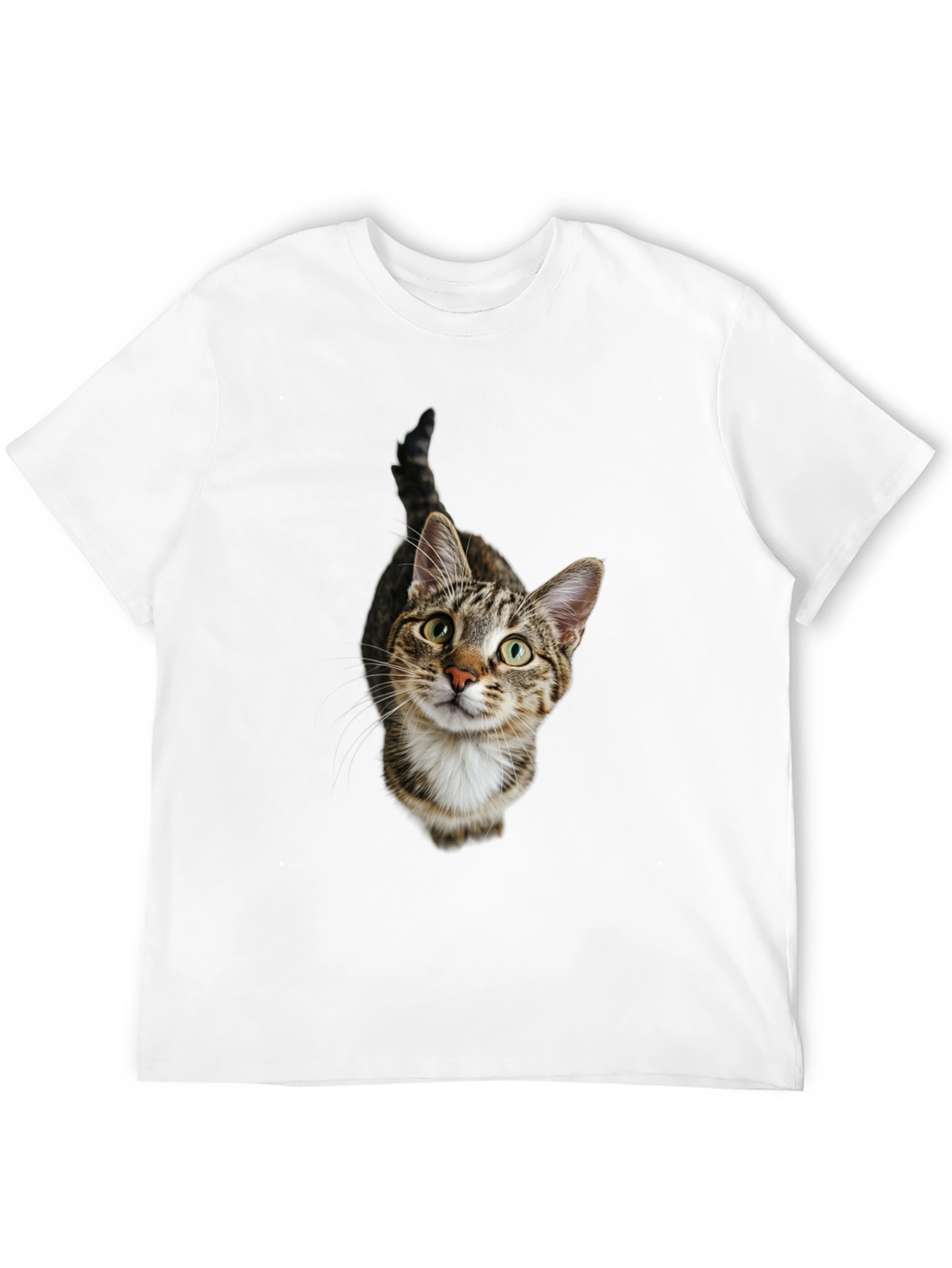 Tabby Cat Graphic Tee -  Unisex Black T-Shirt