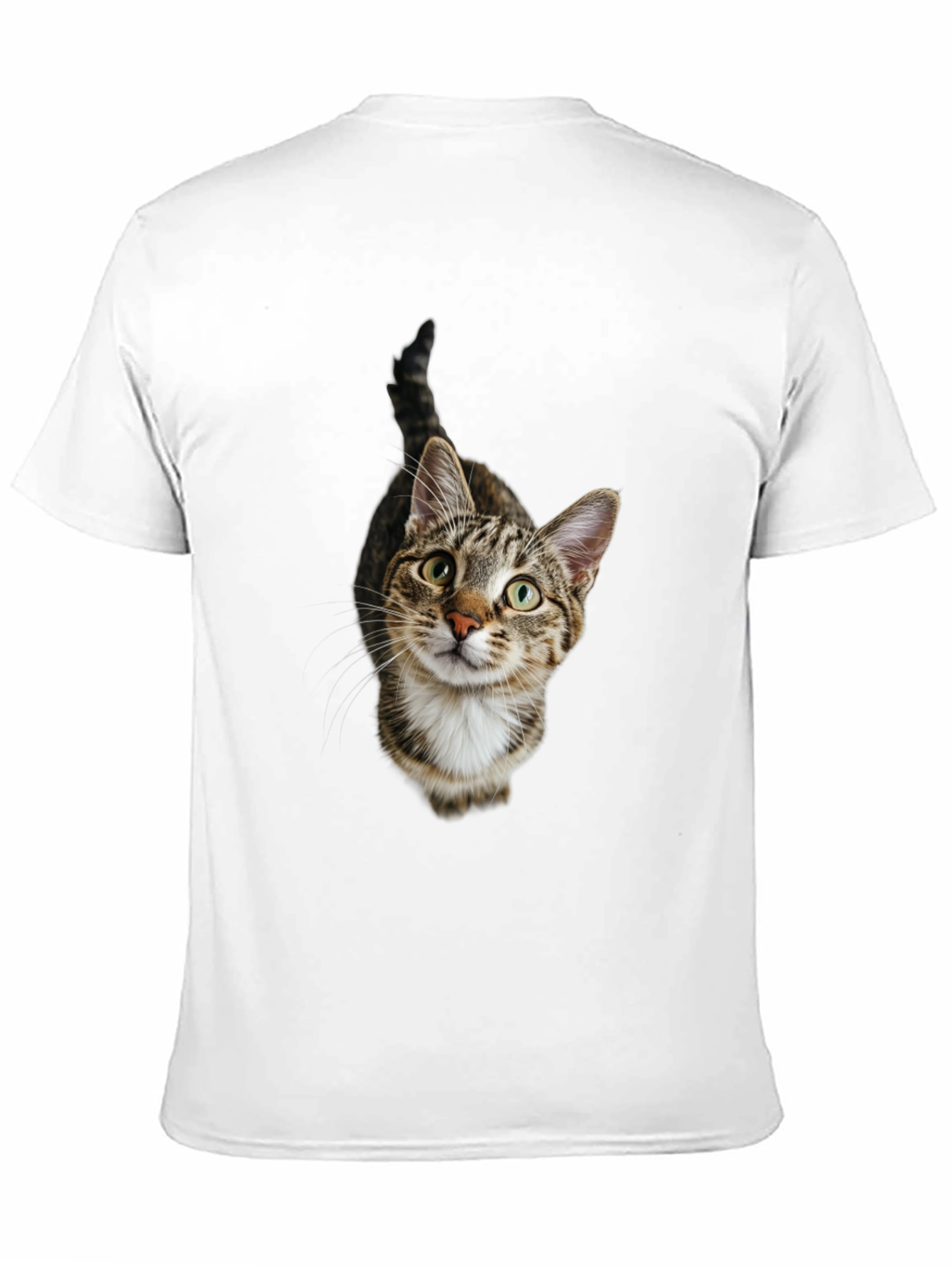 Tabby Cat Graphic Tee -  Unisex Black T-Shirt