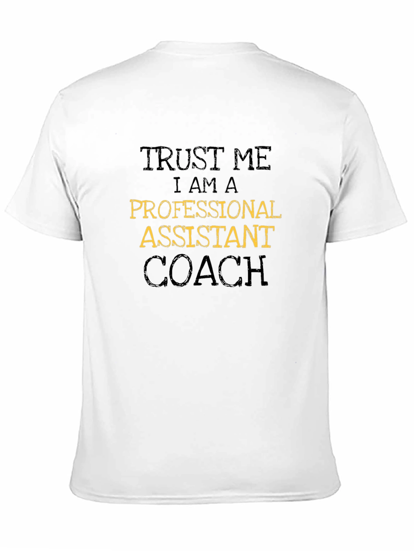 Trust Me Professional Assistant Coach Graphic Tee