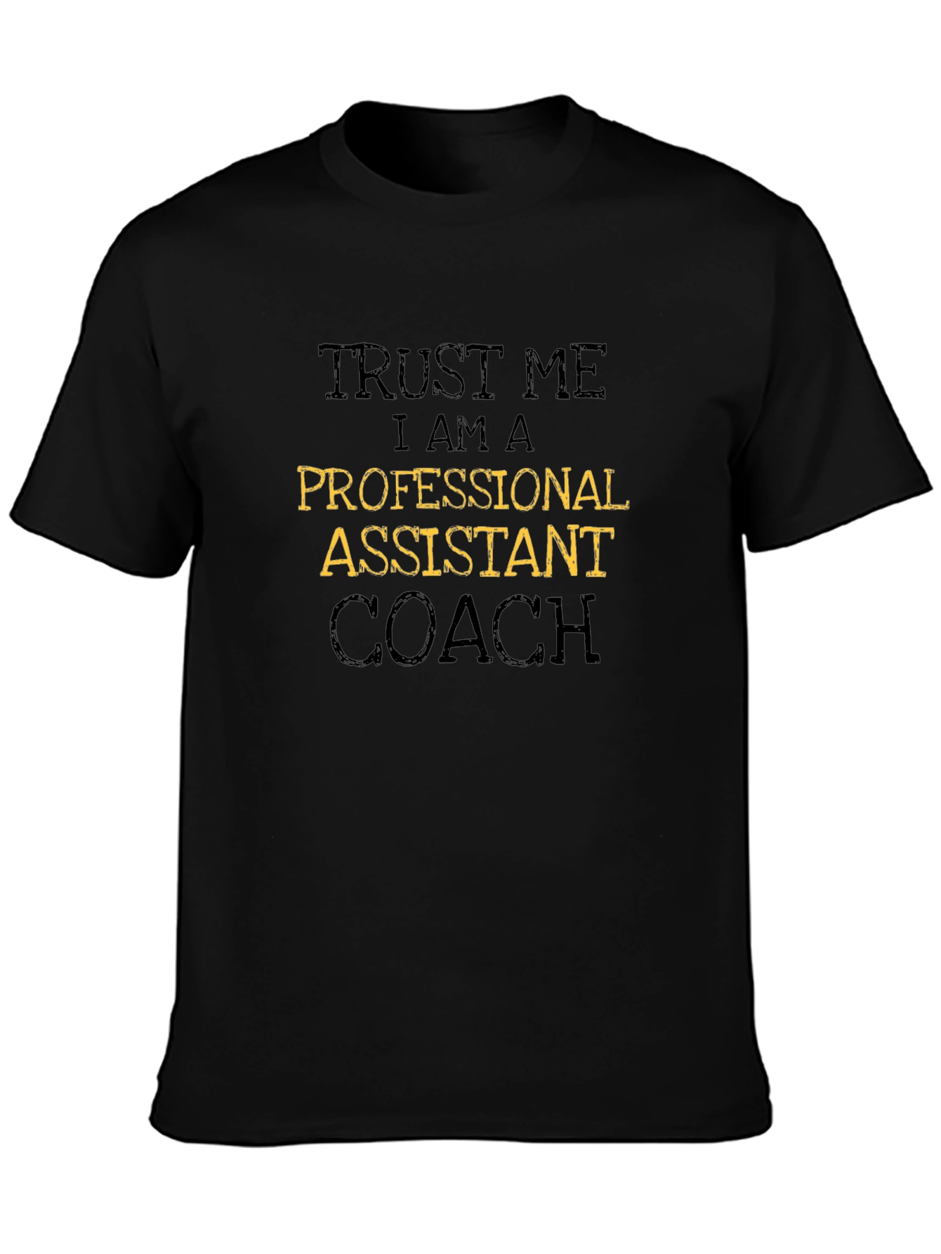 Trust Me Professional Assistant Coach Graphic Tee