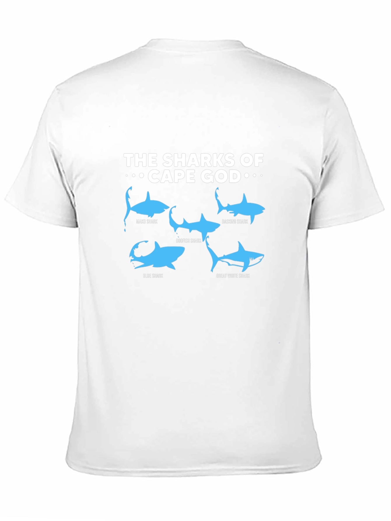 Cape Cod Sharks Graphic T-Shirt - Shark Species Tee