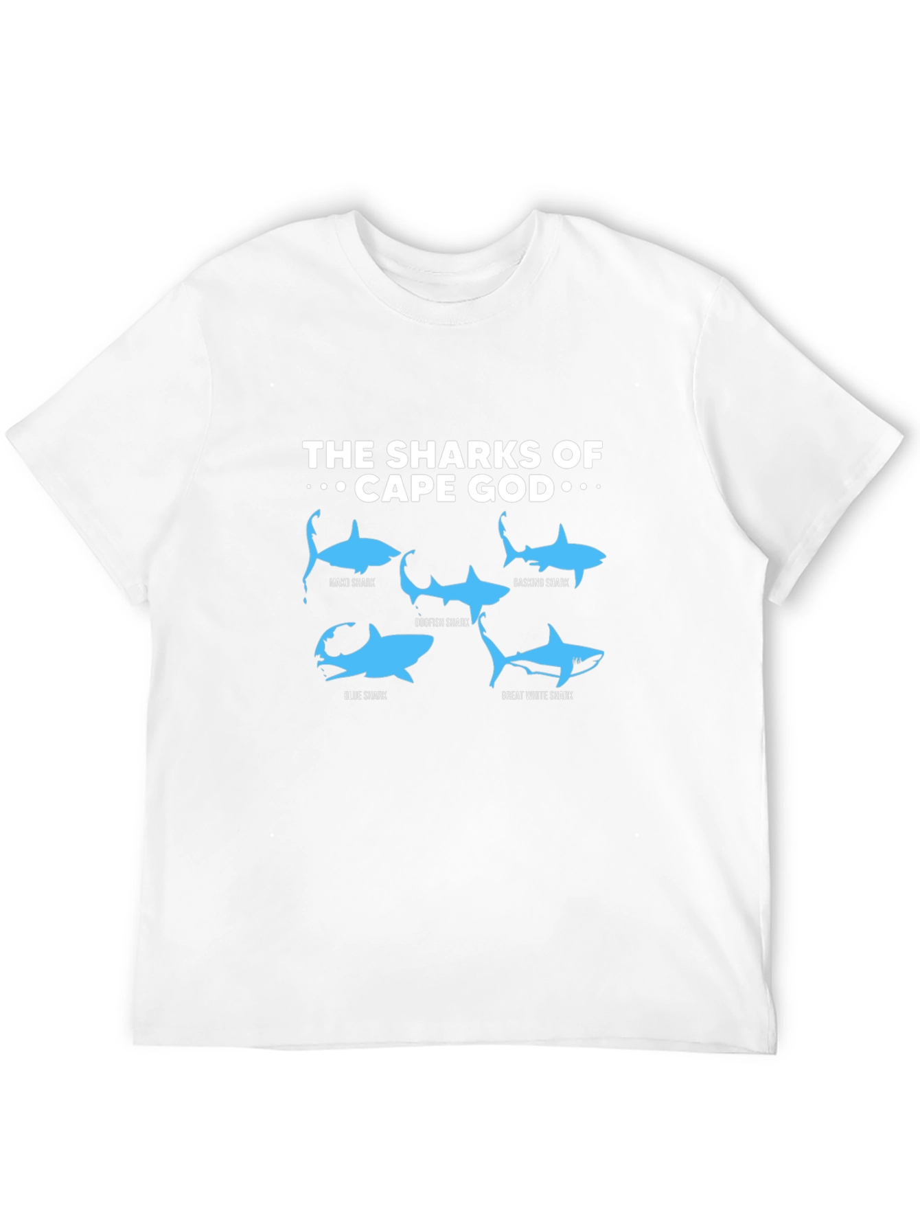 Cape Cod Sharks Graphic T-Shirt - Shark Species Tee