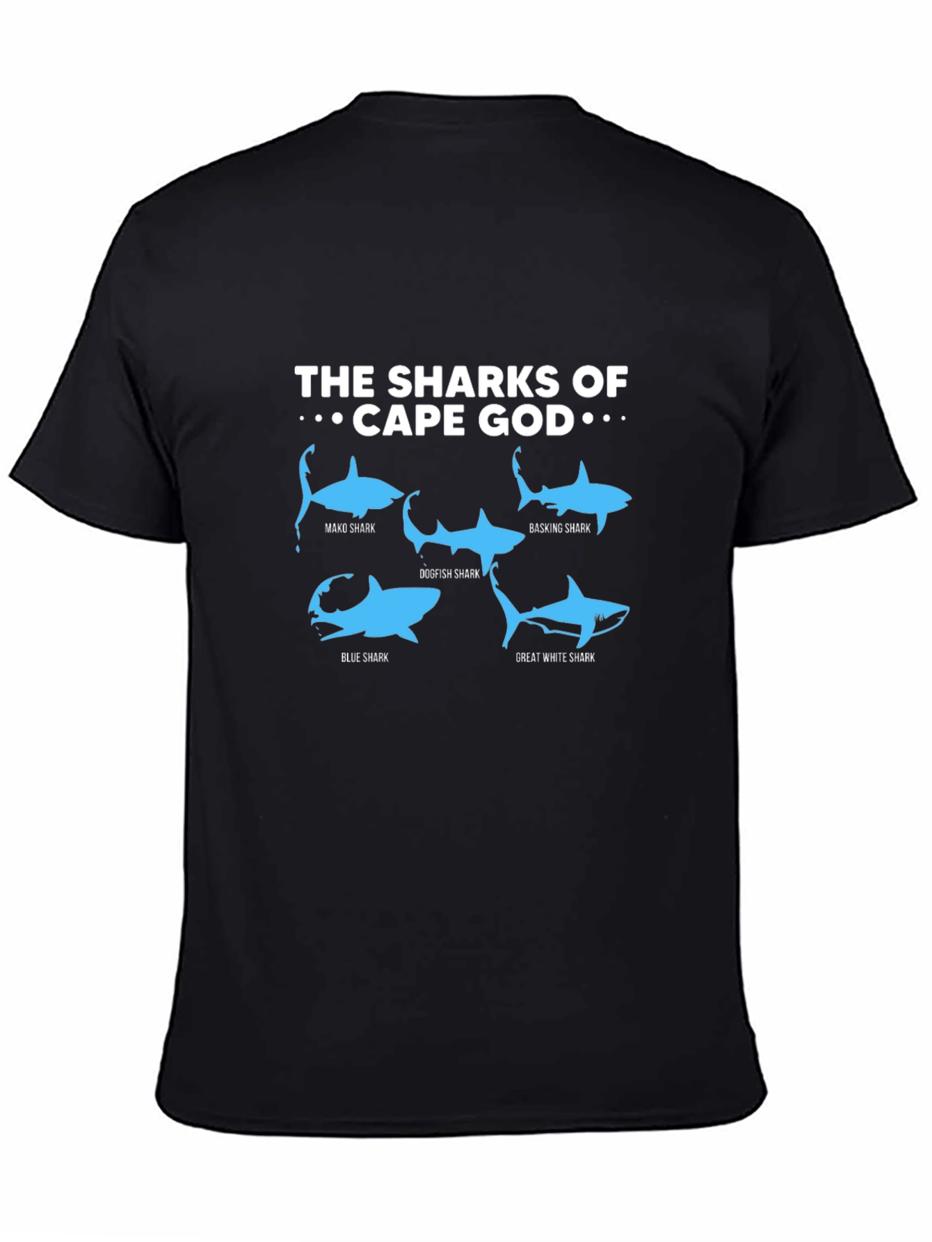 Cape Cod Sharks Graphic T-Shirt - Shark Species Tee