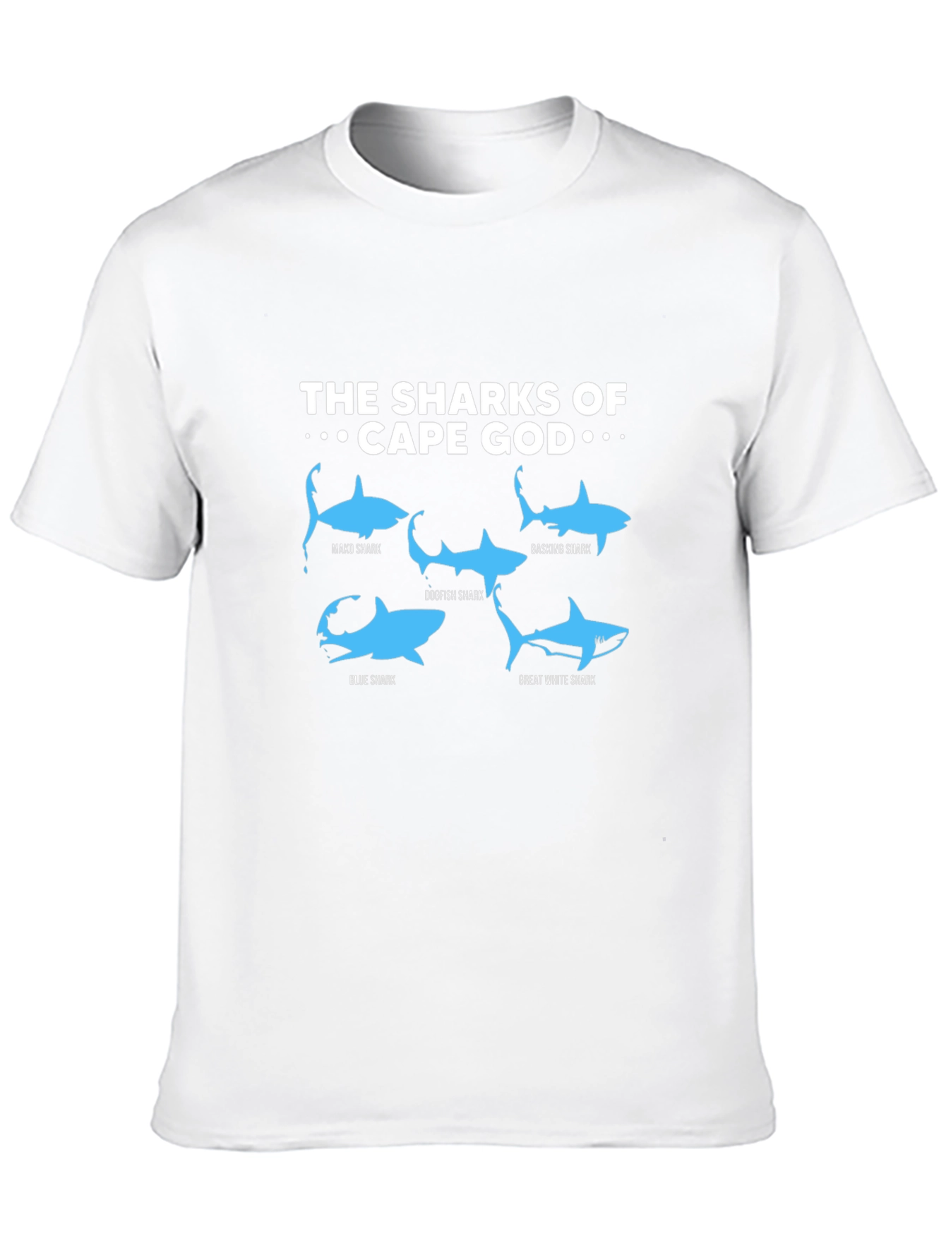 Cape Cod Sharks Graphic T-Shirt - Shark Species Tee
