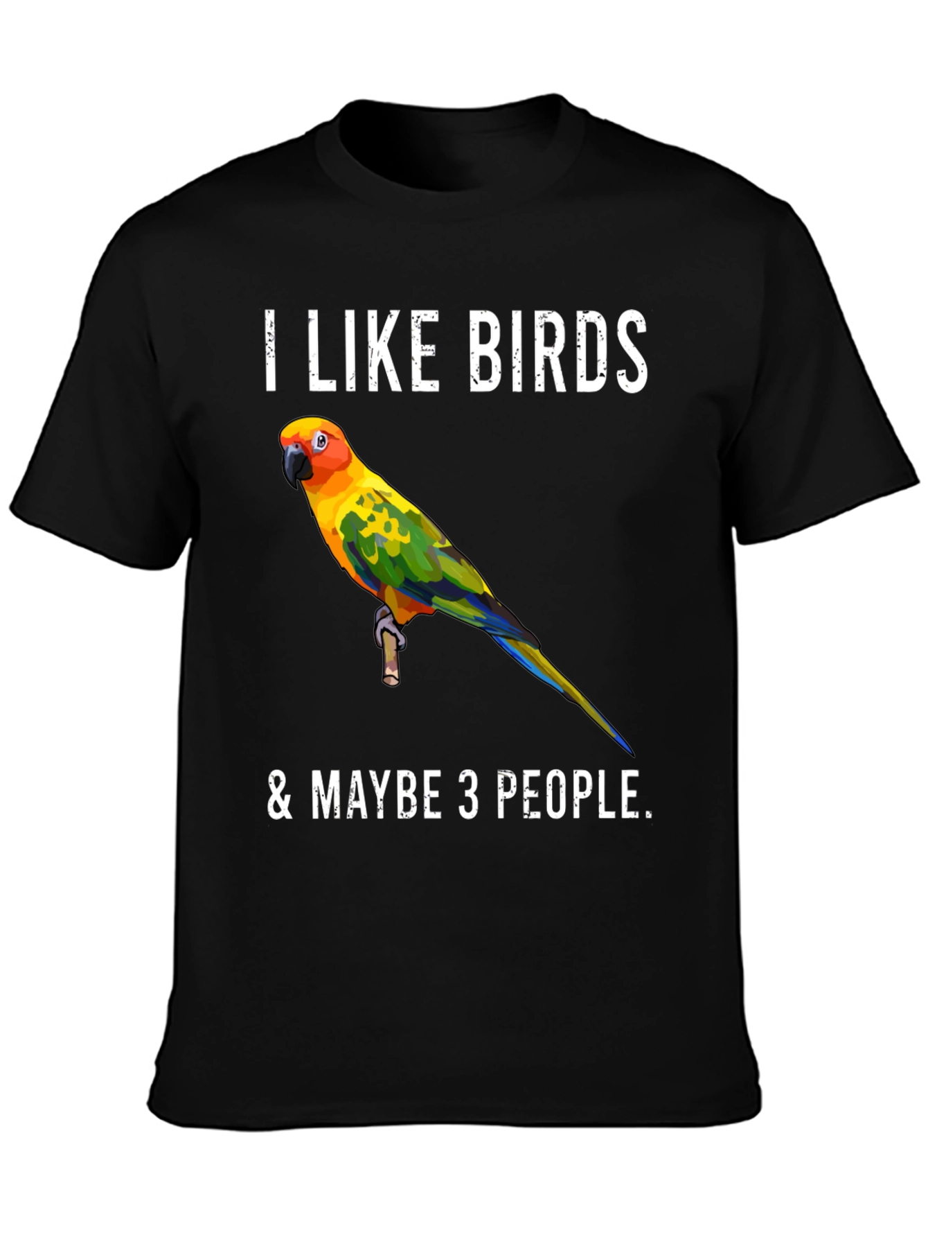 I Like Birds & Maybe 3 People T-Shirt