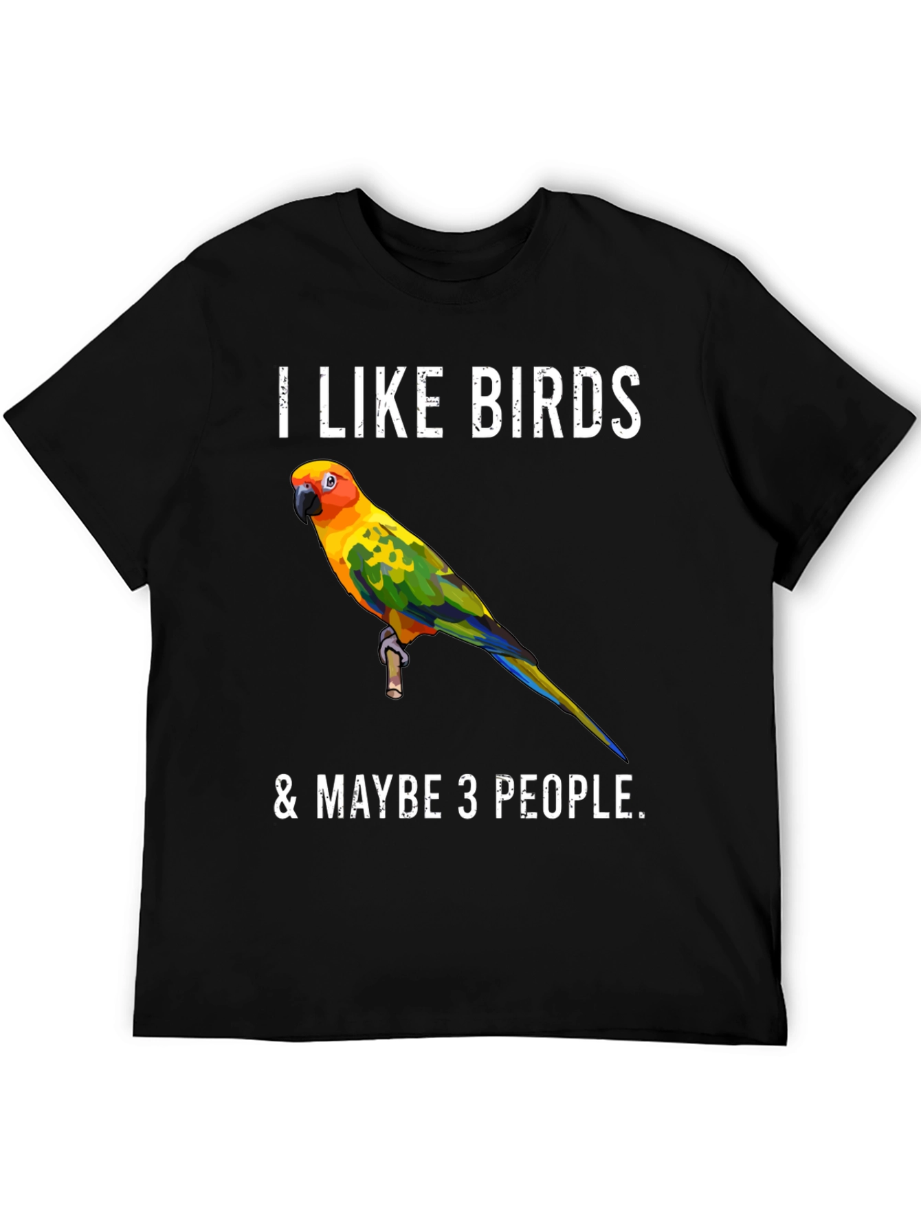 I Like Birds & Maybe 3 People T-Shirt