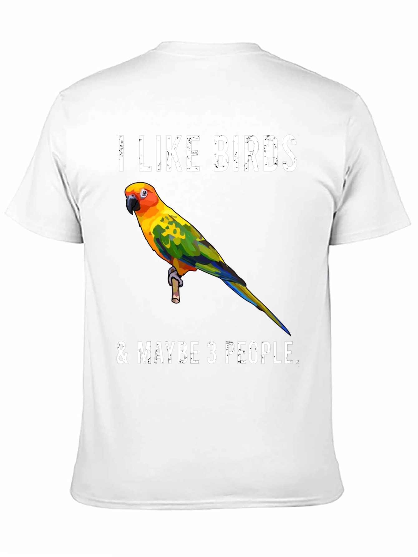 I Like Birds & Maybe 3 People T-Shirt