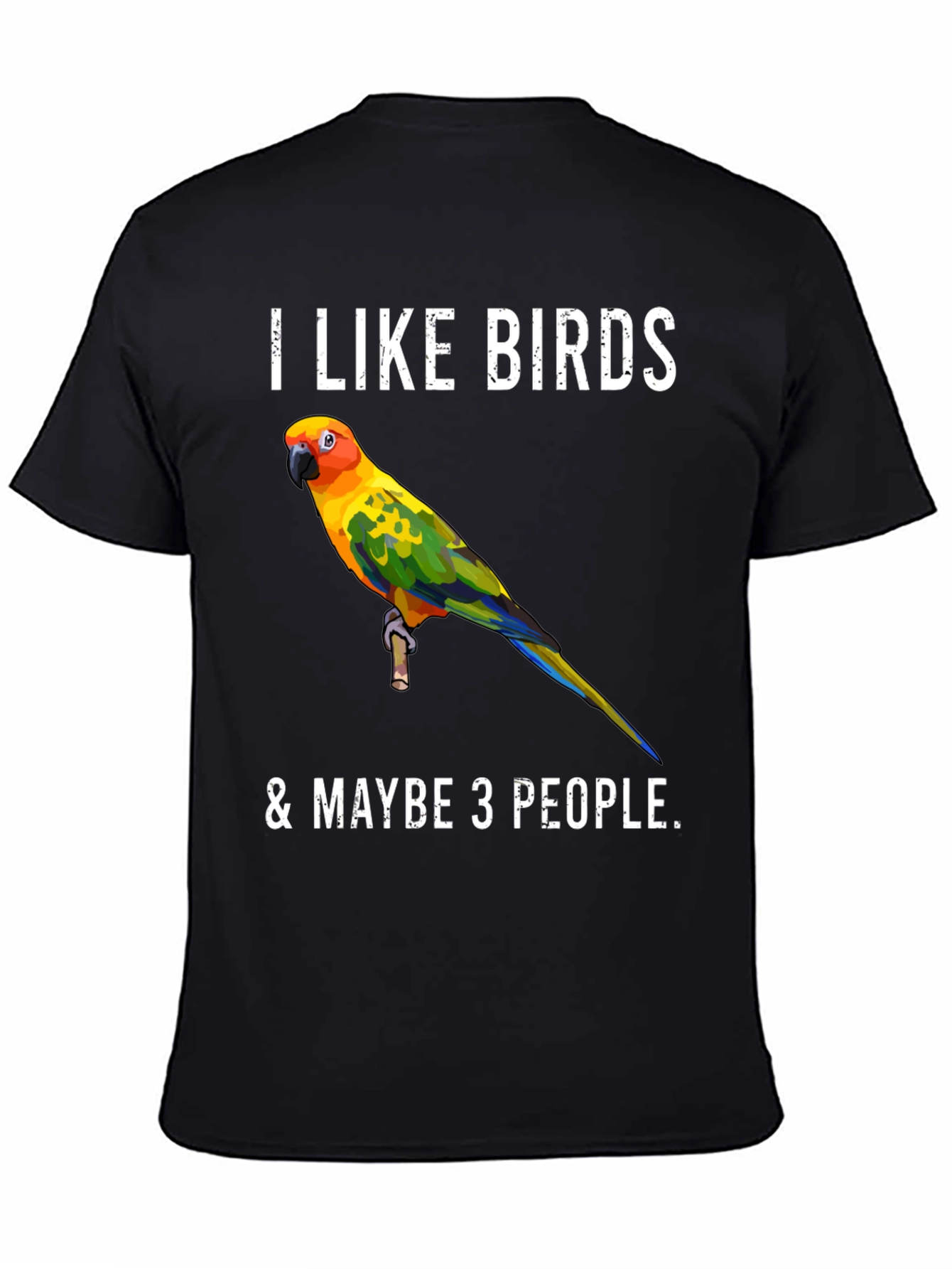 I Like Birds & Maybe 3 People T-Shirt
