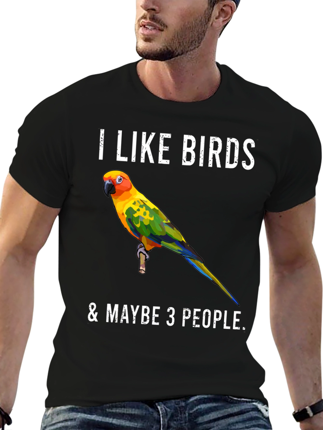 I Like Birds & Maybe 3 People T-Shirt