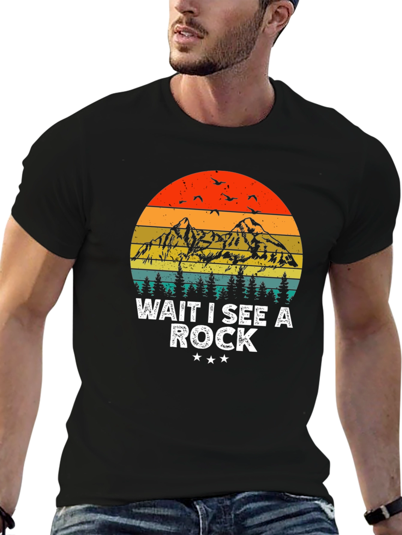 Wait I See a Rock T-Shirt - Mountain Sunset